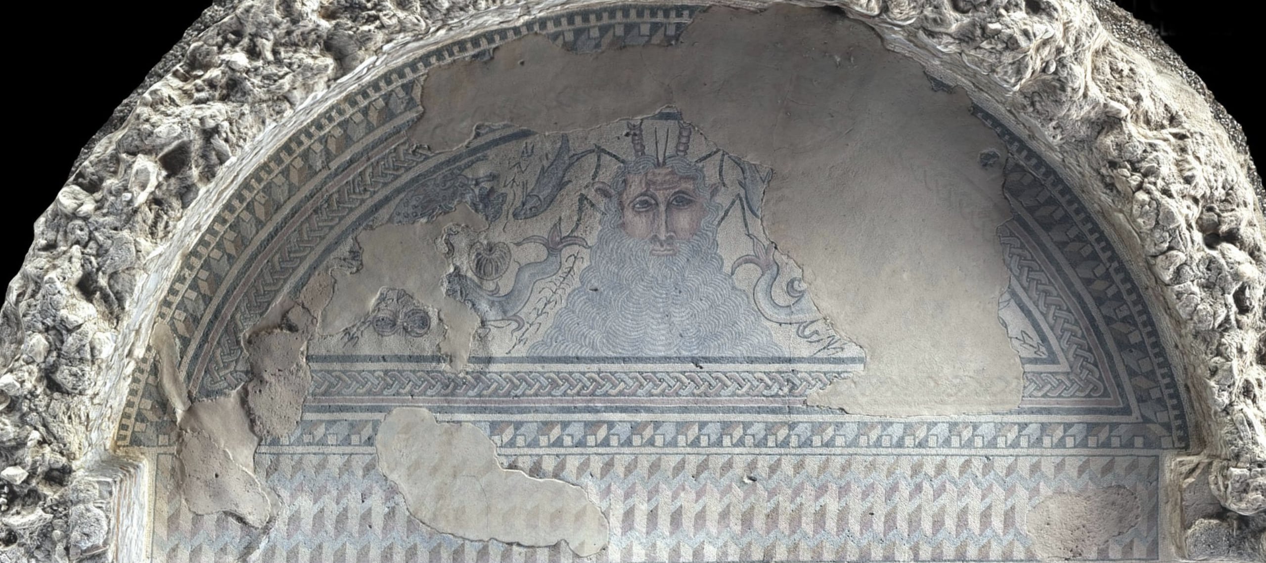 Discover our courses